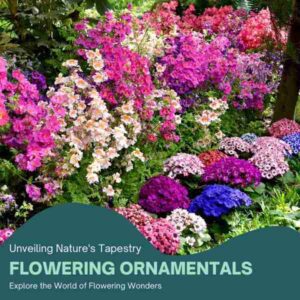 flowering-ornamentals