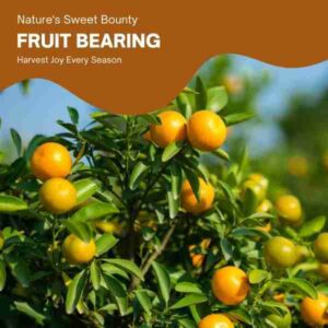 fruit-bearing-plants